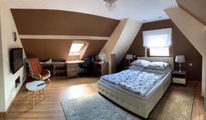 Apartament Podczerwone, Czarny Dunajec